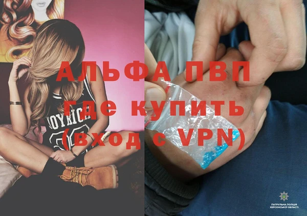 гидра Балахна
