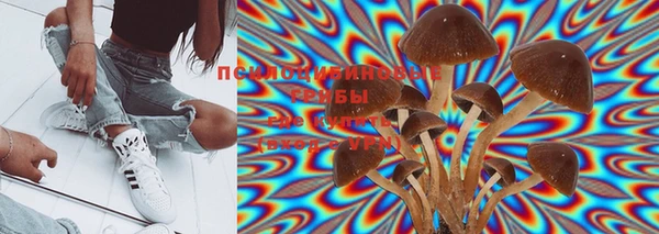ECSTASY Баксан