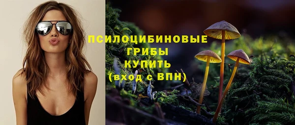ECSTASY Баксан